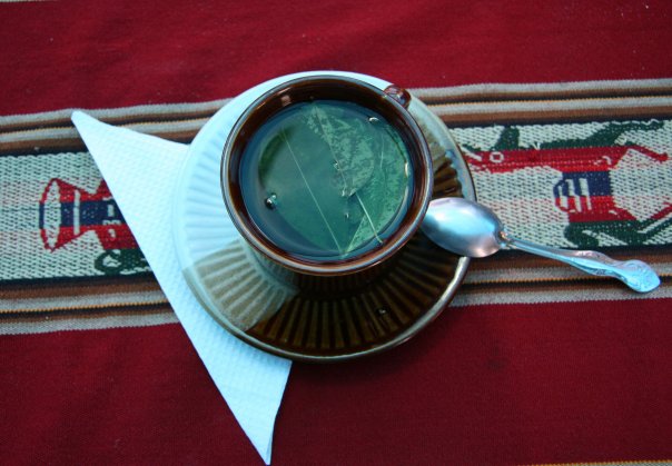 Перу - Боливия в 2008 году: траффик